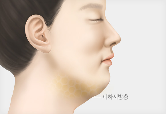 피하지방층